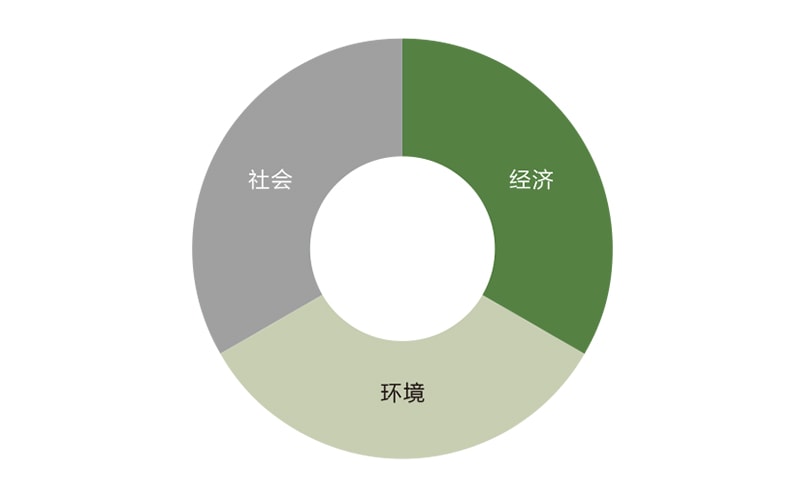 可持续发展,三大领域