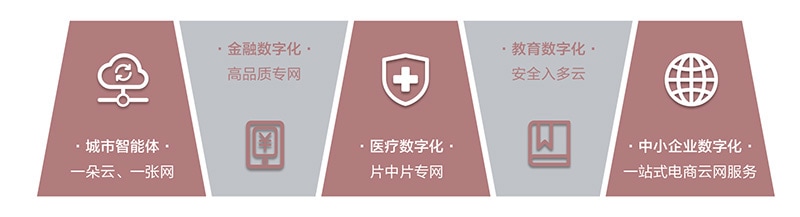 智能云网,数字化转型