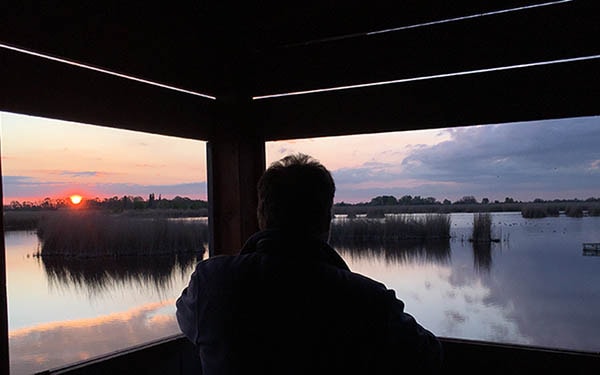 Lake Neusiedl