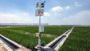 elte iot rice growing 180