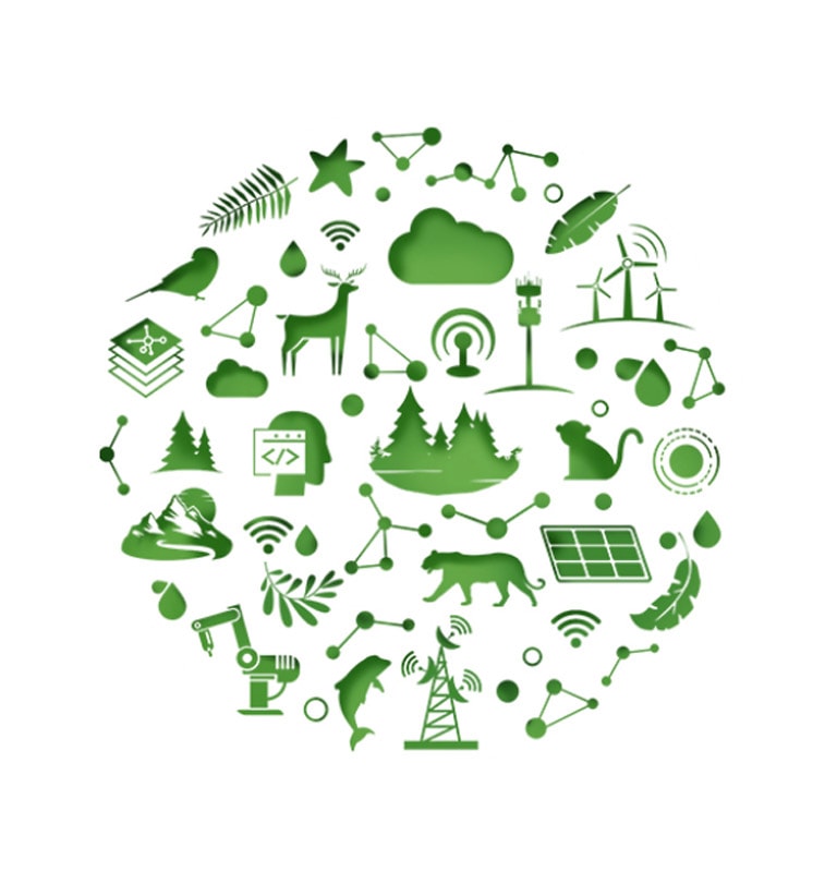 environment day m 1