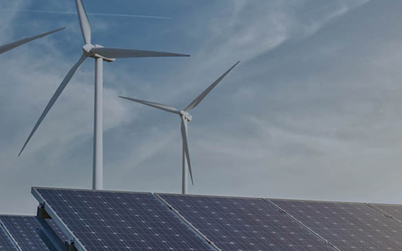 low carbon society
