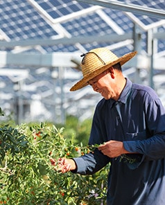Ningxia case