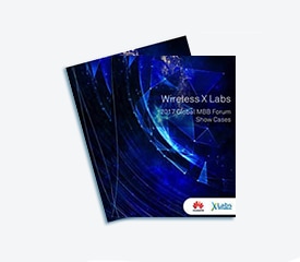 xlabs mbbf 2017 show cases cv 275