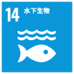 cn sdgs14 1