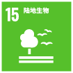 cn sdgs15 1